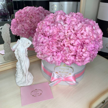 Розовые гортензии в коробке - 19 шт.
