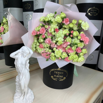 Кустовые гвоздики лайм с розовыми - 51 шт. Кустовые гвоздики лайм с розовыми - 51 шт.