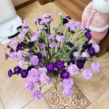 Сиренево-лавандовые кустовые гвоздики - 41 шт. Сиренево-лавандовые кустовые гвоздики - 41 шт.