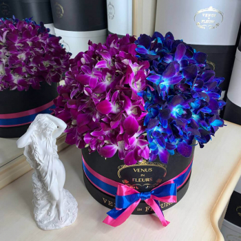 Сине-розовые орхидеи в коробке от 51 шт.