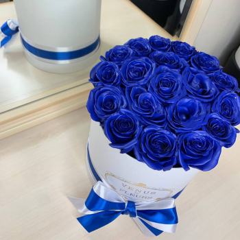 21 синяя роза в коробке 21 синяя роза в коробке
