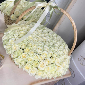 Белые розы в корзине - 151 шт.