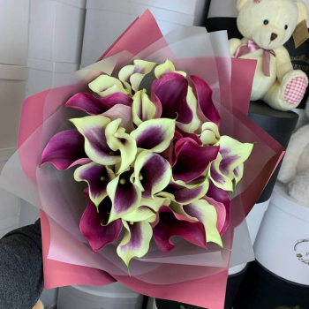 Необыкновенные каллы в букете от 19 шт. Необыкновенные каллы в букете от 19 шт.