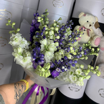 29 разноцветных дельфиниумов в букете