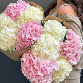 Нежный микс из гортензий - 5 шт. Нежный микс из гортензий - 5 шт.