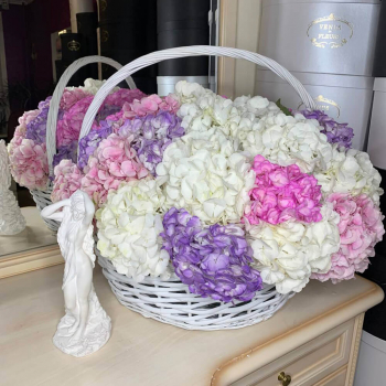 Огромный букет из гортензий - 35 шт.