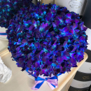 Большой букет из синих орхидей - 201 шт. Большой букет из синих орхидей - 201 шт.