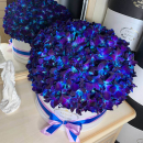 Большой букет из синих орхидей - 201 шт. Большой букет из синих орхидей - 201 шт.