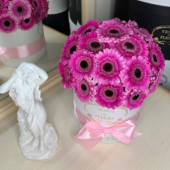 Ярко-розовые герберы от 19 шт. Ярко-розовые герберы от 19 шт.