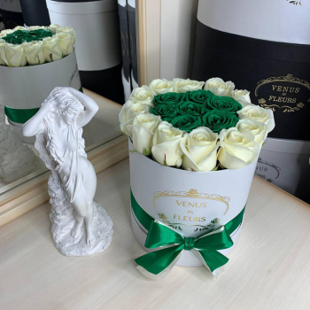 Зеленые розы с окантовкой от 19 шт.