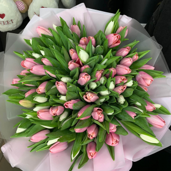 Бело-розовые тюльпаны в букете - 101 шт.