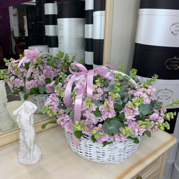 Розовые маттиолы в корзине - 51 шт. Розовые маттиолы в корзине - 51 шт.