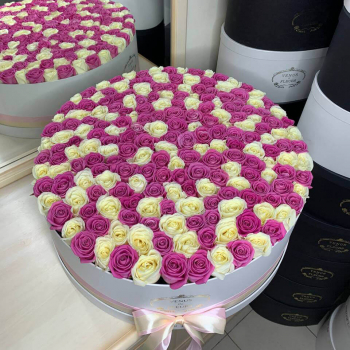 201 бело-розовая роза в коробке 201 бело-розовая роза в коробке