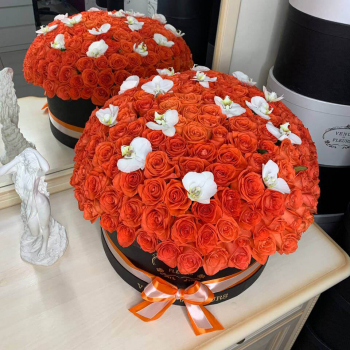 Коралловые розы с орхидеями в коробке от 101 шт.