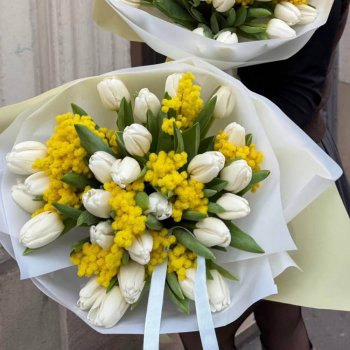 Мимозы с белыми тюльпанами - 35 шт. Мимозы с белыми тюльпанами - 35 шт.