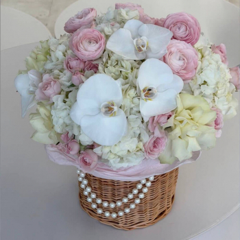 Вайт Охара в миксе - 55 шт. Вайт Охара в миксе - 55 шт.