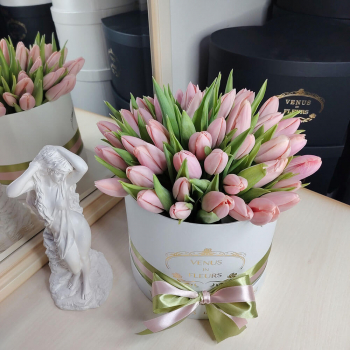 51 нежный тюльпан в коробке