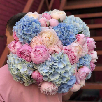 Букет из пионов и гортензий от 29 шт. Букет из пионов и гортензий от 29 шт.