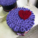 Фиолетовые розы с сердцем от 51 шт. Фиолетовые розы с сердцем от 51 шт.