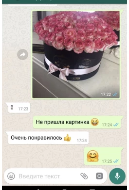 Отзывы