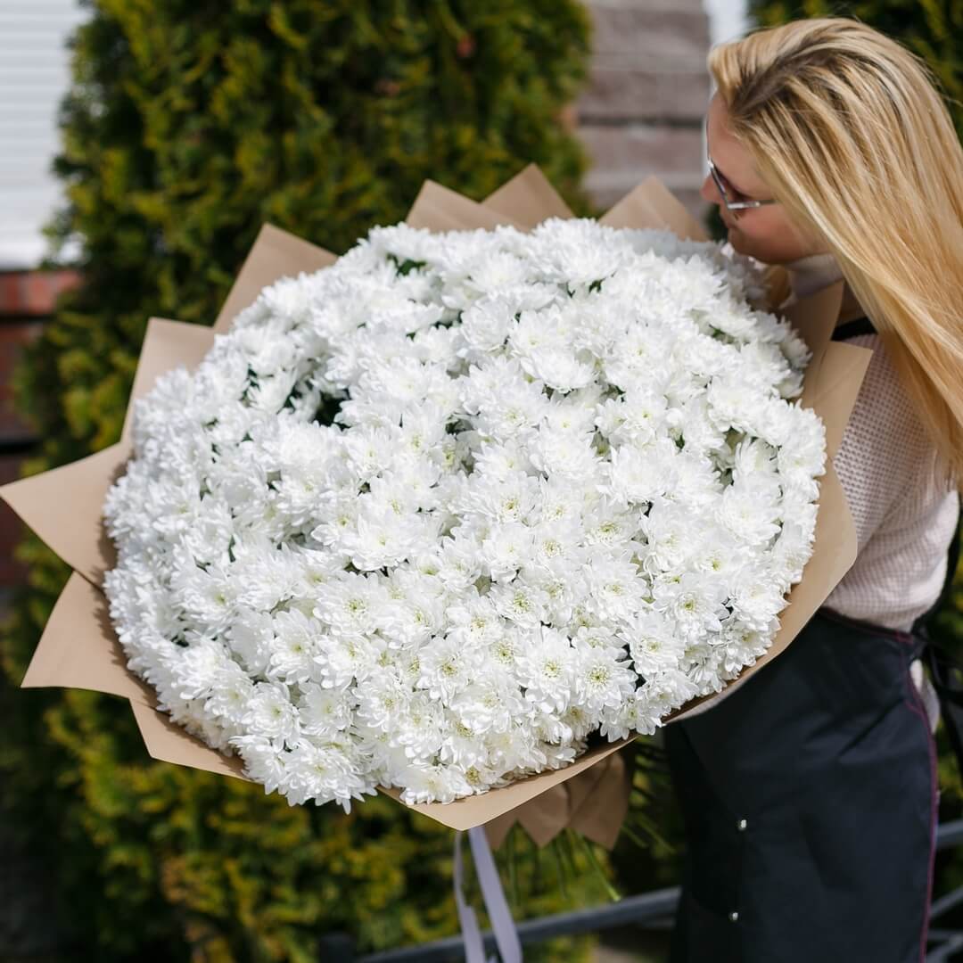 Хризантемы белые цена цветы доставка махачкала круглосуточная доставка