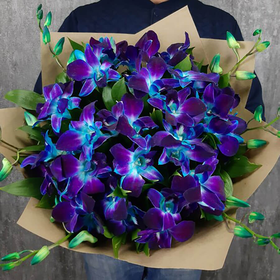 Фото по запросу Синяя орхидея
