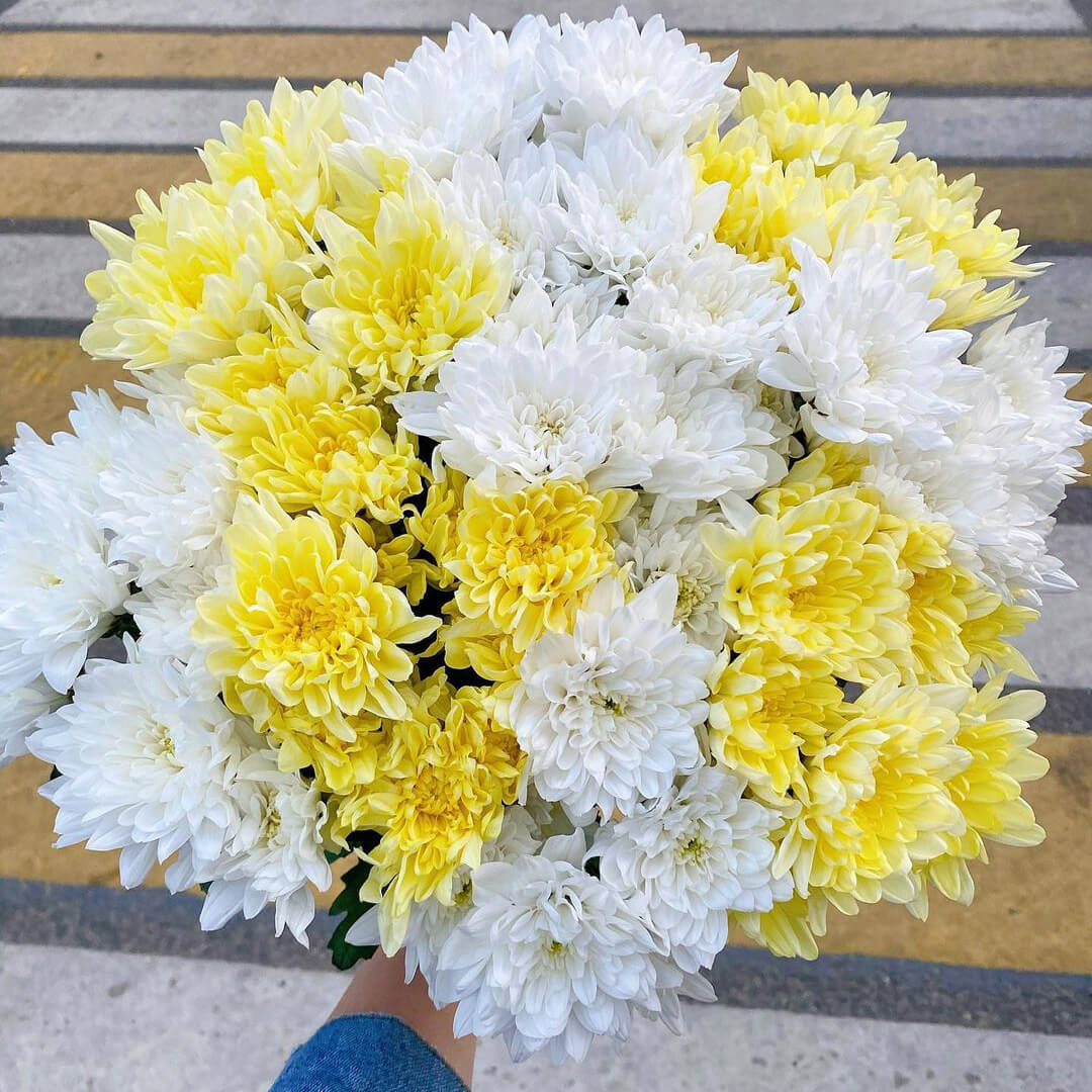 Букет Счастье. 7 желтых хризантем
