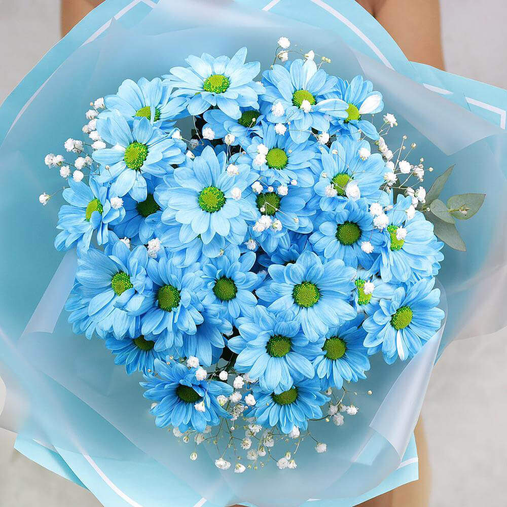 9 голубых хризантем с гипсофилой за 4 690 руб. | Бесплатная доставка цветов по Москве