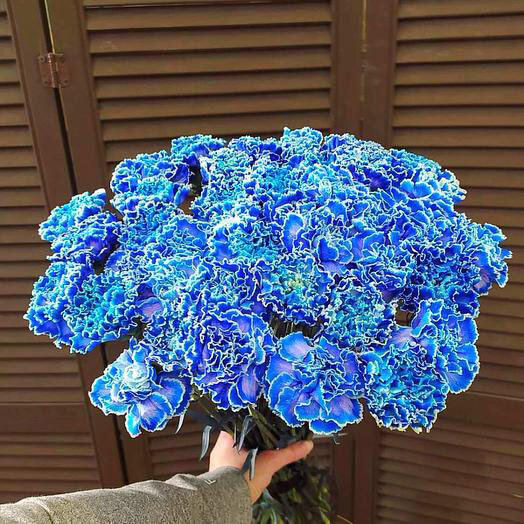 41 голубая гвоздика в букете за 13 590 руб. | Бесплатная доставка цветов по  Москве
