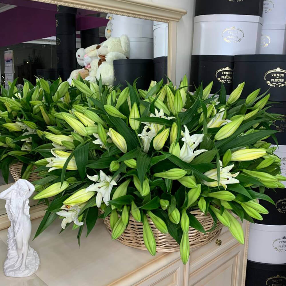 101 белая лилия в корзине 101 белая лилия в корзине
