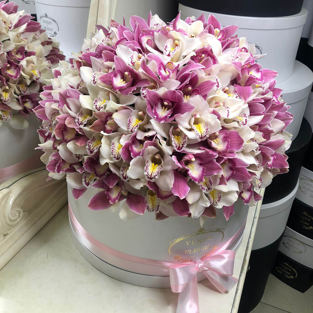 Орхидея - королева среди цветов